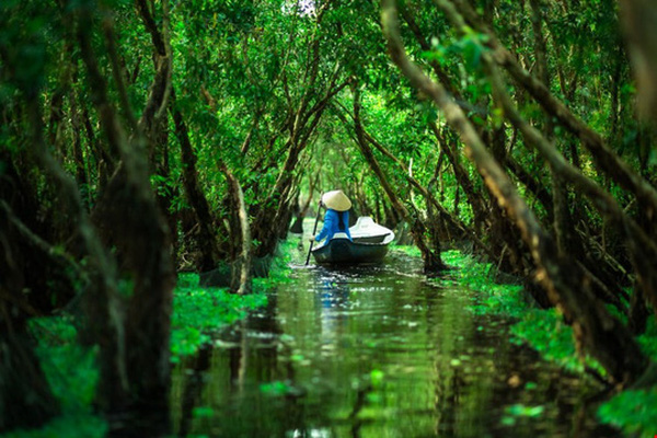 mekong delta tra su forest